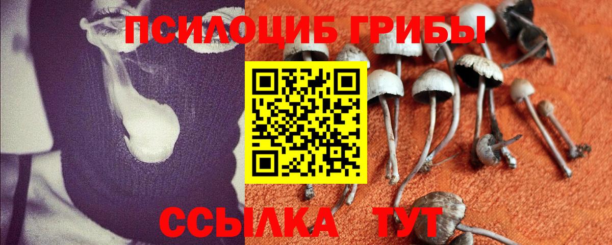 Галлюциногенные грибы мухоморы Ростов Великий